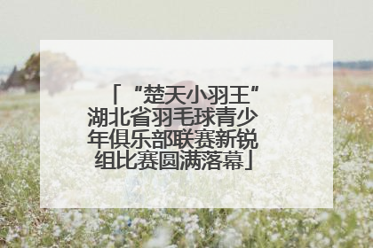 “楚天小羽王”湖北省羽毛球青少年俱乐部联赛新锐组比赛圆满落幕