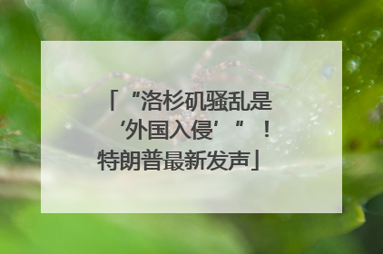 “洛杉矶骚乱是‘外国入侵’”！特朗普最新发声
