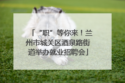 “职”等你来！兰州市城关区酒泉路街道举办就业招聘会