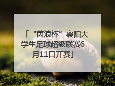 “茵浪杯”襄阳大学生足球超级联赛6月11日开赛