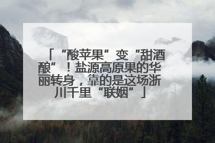 “酸苹果”变“甜酒酿”！盐源高原果的华丽转身，靠的是这场浙川千里“联姻”