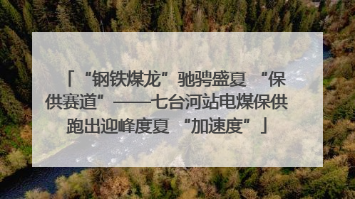 “钢铁煤龙”驰骋盛夏 “保供赛道”——七台河站电煤保供跑出迎峰度夏 “加速度”