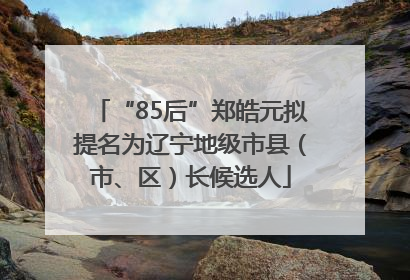 “85后”郑皓元拟提名为辽宁地级市县（市、区）长候选人