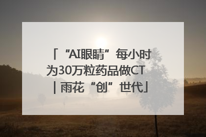 “AI眼睛”每小时为30万粒药品做CT｜雨花“创”世代
