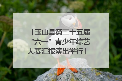 玉山县第二十五届“六一”青少年综艺大赛汇报演出举行