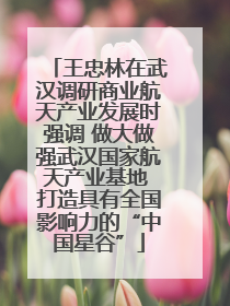 王忠林在武汉调研商业航天产业发展时强调 做大做强武汉国家航天产业基地 打造具有全国影响力的“中国星谷”
