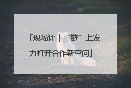 现场评｜“链”上发力打开合作新空间