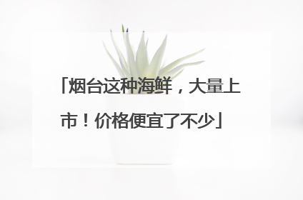 烟台这种海鲜，大量上市！价格便宜了不少