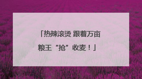 热辣滚烫 跟着万亩粮王“抢”收麦！