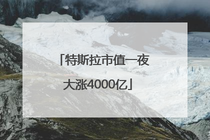特斯拉市值一夜大涨4000亿