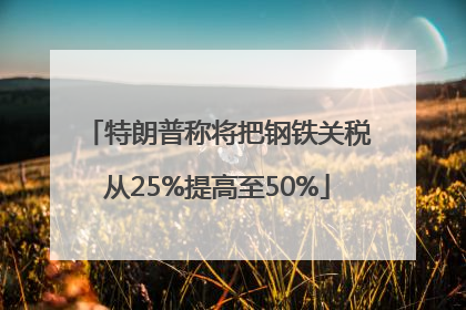 特朗普称将把钢铁关税从25%提高至50%