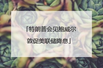 特朗普会见鲍威尔 敦促美联储降息