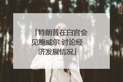 特朗普在白宫会见鲍威尔 讨论经济发展情况