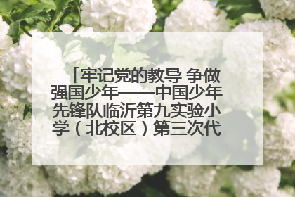 牢记党的教导 争做强国少年——中国少年先锋队临沂第九实验小学（北校区）第三次代表大会胜利召开