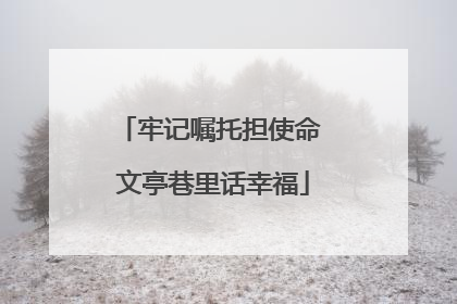 牢记嘱托担使命 文亭巷里话幸福