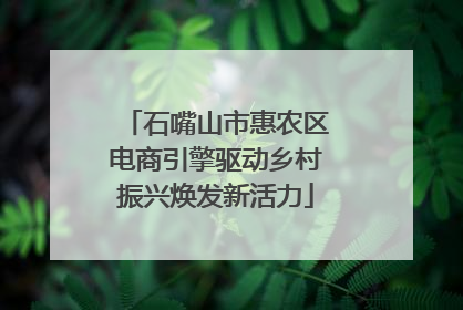 石嘴山市惠农区电商引擎驱动乡村振兴焕发新活力
