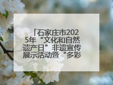 石家庄市2025年“文化和自然遗产日”非遗宣传展示活动暨“多彩石家庄·非遗购物节”倒计时1天