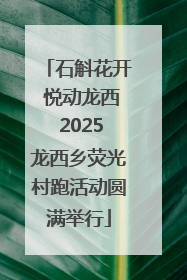 石斛花开 悦动龙西 2025龙西乡荧光村跑活动圆满举行