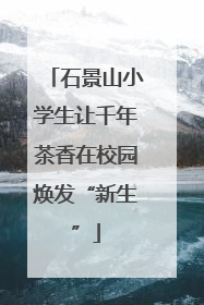 石景山小学生让千年茶香在校园焕发“新生”