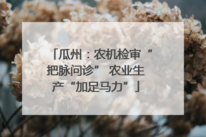 瓜州：农机检审“把脉问诊” 农业生产“加足马力”