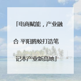 电商赋能，产业融合 平阳腾蛟打造笔记本产业新高地