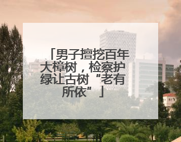 男子擅挖百年大樟树，检察护绿让古树“老有所依”