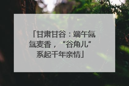 甘肃甘谷：端午氤氲麦香，“谷角儿”系起千年亲情