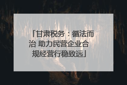 甘肃税务：循法而治 助力民营企业合规经营行稳致远
