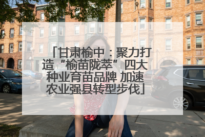 甘肃榆中：聚力打造“榆苗陇萃”四大种业育苗品牌 加速农业强县转型步伐
