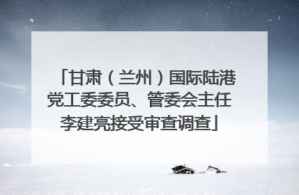 甘肃（兰州）国际陆港党工委委员、管委会主任李建亮接受审查调查