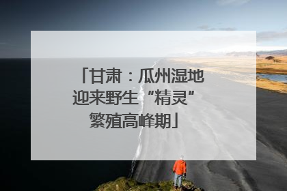 甘肃：瓜州湿地迎来野生“精灵”繁殖高峰期