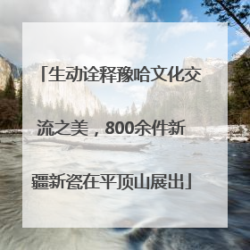 生动诠释豫哈文化交流之美，800余件新疆新瓷在平顶山展出