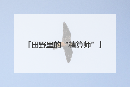 田野里的“精算师”