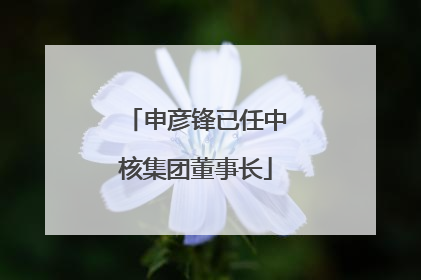 申彦锋已任中核集团董事长