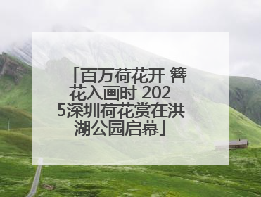 百万荷花开 簪花入画时 2025深圳荷花赏在洪湖公园启幕