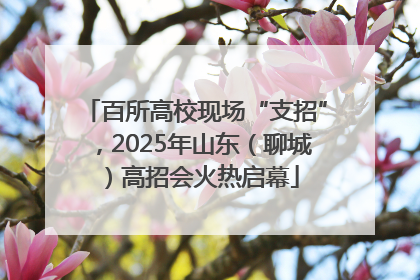 百所高校现场“支招”，2025年山东（聊城）高招会火热启幕