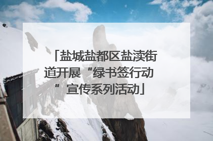 盐城盐都区盐渎街道开展“绿书签行动”宣传系列活动