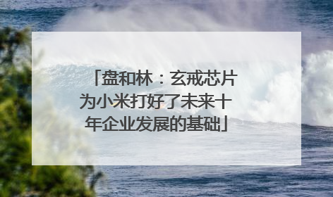 盘和林：玄戒芯片为小米打好了未来十年企业发展的基础