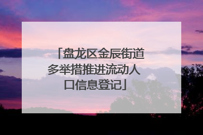 盘龙区金辰街道多举措推进流动人口信息登记