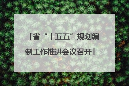 省“十五五”规划编制工作推进会议召开
