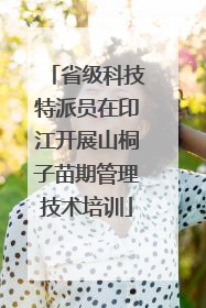 省级科技特派员在印江开展山桐子苗期管理技术培训