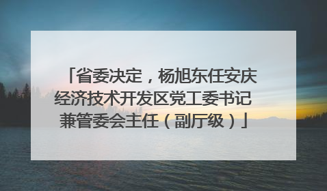 省委决定，杨旭东任安庆经济技术开发区党工委书记兼管委会主任（副厅级）