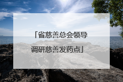 省慈善总会领导调研慈善发药点