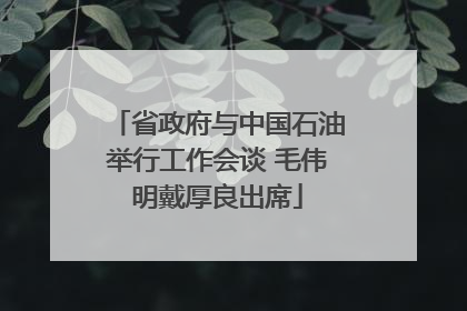 省政府与中国石油举行工作会谈 毛伟明戴厚良出席