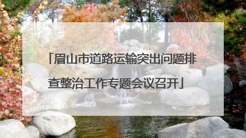 眉山市道路运输突出问题排查整治工作专题会议召开