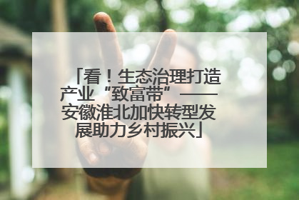 看！生态治理打造产业“致富带”——安徽淮北加快转型发展助力乡村振兴
