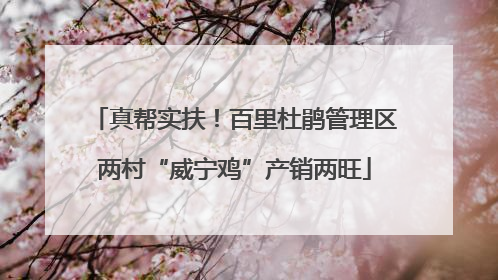 真帮实扶！百里杜鹃管理区两村“威宁鸡”产销两旺