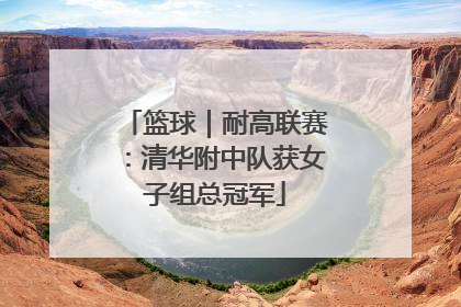 篮球｜耐高联赛：清华附中队获女子组总冠军