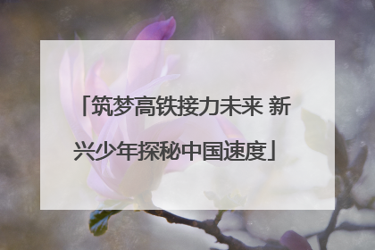 筑梦高铁接力未来 新兴少年探秘中国速度