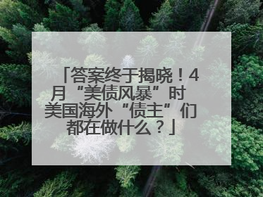 答案终于揭晓！4月“美债风暴”时 美国海外“债主”们都在做什么？